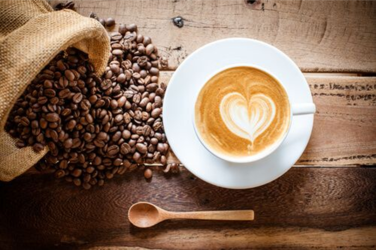 Best of Homegrown Coffee Brands in India: A Brew-tiful Journey